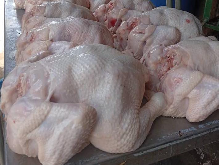 FRESH ORGANIC CHICKEN